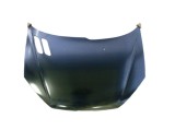 Capota motor Peugeot 206 (2_), 10.1995-04.2009, montare fata, galvanizat; cataforeza;Mastic, RapidAuto, Rapid