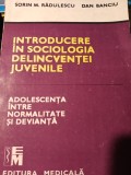 INTRODUCERE IN SOCIOLOGIA DELINCVENTEI JUVENILE - SORIN M RADULESCU, DAN BANCIU