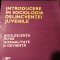 INTRODUCERE IN SOCIOLOGIA DELINCVENTEI JUVENILE - SORIN M RADULESCU, DAN BANCIU