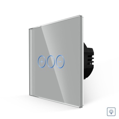 Intrerupator touch simplu cu variator, Luxion LXD-MT-D101G-GY, incastrat, rama din sticla inclusa, gri foto