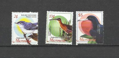 MICRONESIA 2004 FAUNA PASARI foto