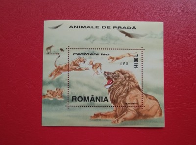 2000 - ANIMALE DE PRADA foto