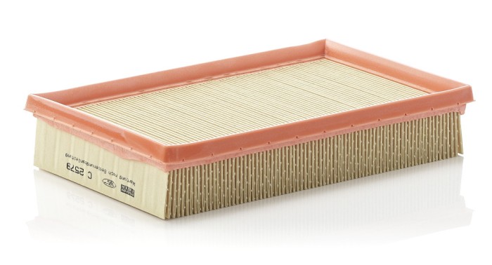 MANN-FILTER C 2579 Filtru aer