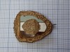 Insigna militar de frunte, proba 2.