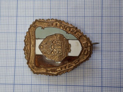 insigna militar de frunte, proba 2. foto