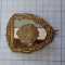 insigna militar de frunte, proba 2.