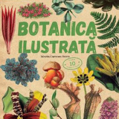 Botanica ilustrata - Maria Carmen Soria