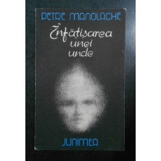 Petre Manolache - Infatisarea unei unde