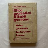 Emilia Savin - Mica gramatica a limbii germane