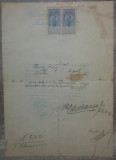 Certificat eliberat de Facultatea de Drept, Universitatea din Iasi// 1921