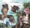 Timbre Paraguay 2011: Păsări de Pradă/Colita - Colecție Timbre Străine, Tematică Avifaună, Serie Completa, Valoare Numismatică