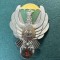 Insigna parasutist militar 1977 1989 RSR Cl 3