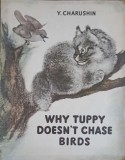 WHY TUPPY DOESN&#039;T CHASE BIRDS-YEVGENY CHARUSHIN-252259