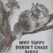 WHY TUPPY DOESN&#039;T CHASE BIRDS-YEVGENY CHARUSHIN-252259