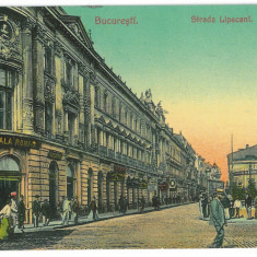1528 - BUCURESTI, Lipscani Street, Romania - old postcard - used - 1906