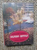 Calatoria Continua - Alexandru Petrescu