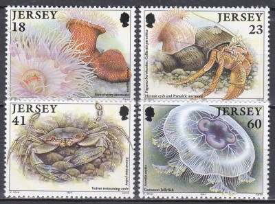Jersey 1994 - Viața marină, MNH foto