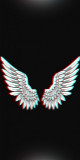 Husa Personalizata NOKIA Plus (X6) White Wings