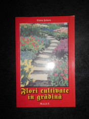 Elena Selaru - Flori cultivate in gradina (2001) foto