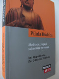 Pilula Buddha - Meditatie yoga schimbare personala - Miguel Farias ..