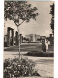 CPIB 17437 CARTE POSTALA - EFORIE SUD. VEDERE DIN PARC, RPR