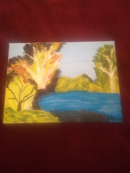 TABLOU PE PANZA CU SASIU NOU 30X40 CM PEISAJ PRET DOAR 20 LEI