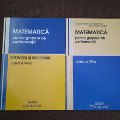 MATEMATICA PENTRU GRUPELE DE PERFORMANTA CLASA A VII A 2 VOLUME