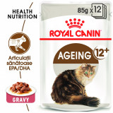 Cumpara ieftin Royal Canin Ageing 12+ hrana umeda pisica senior (in sos), 85 g