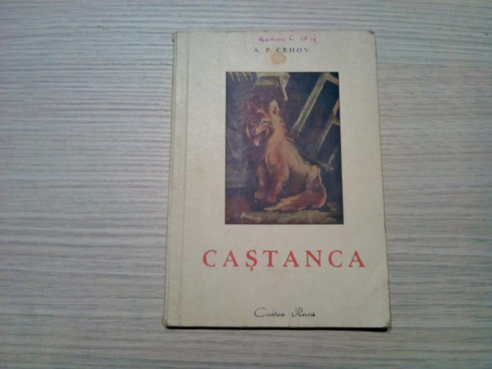 CASTANCA - A. P. Cehov - Editura Cartea Rusa, 1949, 48 p. cu desene in text