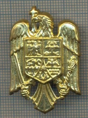 Y 1545 INSIGNA-MILITARA -EMBLEMA COIFURA -PENTRU COLECTIONARI foto