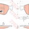 Set placute frana,frana disc AUDI A6 Avant (4F5, C6) (2005 - 2011) TRW GDB1553