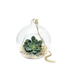 Glob Sticlă Terariu Rotund, 10cm
