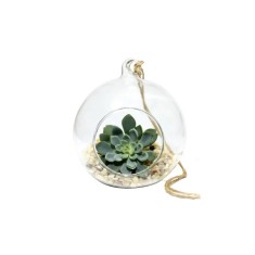 Glob Sticlă Terariu Rotund, 8cm