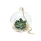 Glob Sticlă Terariu Rotund, 10cm