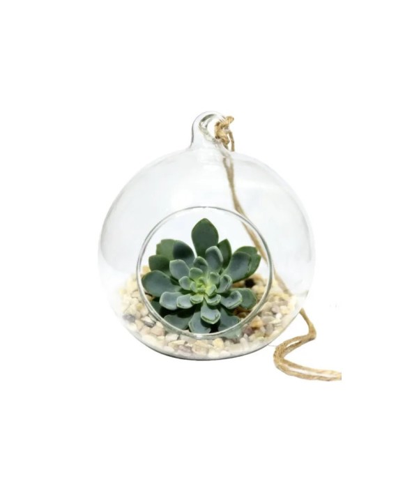 Glob Sticlă Terariu Rotund, 12cm