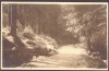 2913 - HOHE RINNE, Sibiu, S.K.V. Poteca Margareta - old pc. real Photo - unused, Necirculata, Fotografie