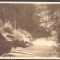 2913 - HOHE RINNE, Sibiu, S.K.V. Poteca Margareta - old pc. real Photo - unused