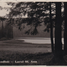 CARTE POSTALA TUSNAD BAI LACUL SFANTA ANA