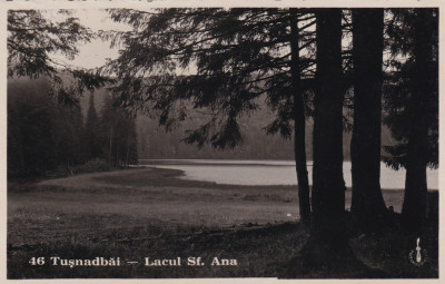 CARTE POSTALA TUSNAD BAI LACUL SFANTA ANA foto