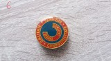 QW9 I 77 - Insigna - Tematica calitati - Calitate competitivitate eficienta
