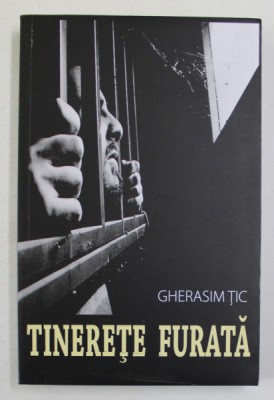TINERETE FURATA , roman cronica de GHERASIM TIC , 2017 foto