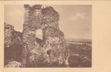 Cetatea Neamtului (necirculata)