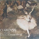 Disc vinil, LP. MUZICA DIN BALETE-Pyotr Ilyich Tchaikovsky, Orchestra Simfonic&amp;#259; A Filarmonicii Na&amp;#355-219617, Electrecord