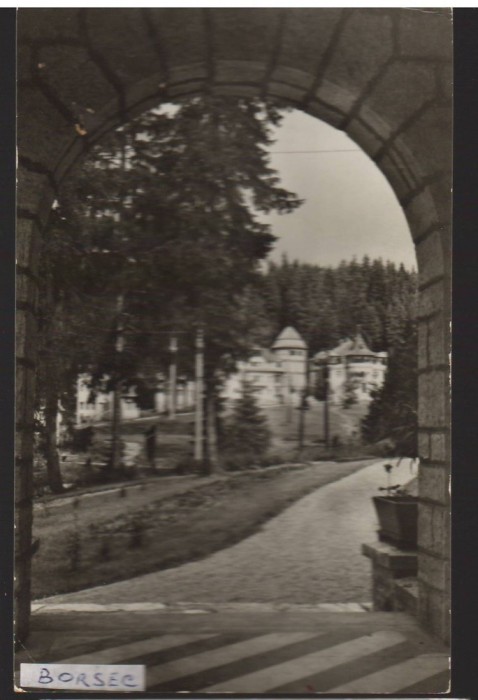 CPIB 22137 - CARTE POSTALA - BORSEC
