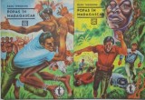 Popas in Madagascar (2 volume) &ndash; Radu Theodoru (23-24)