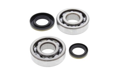 Set rulmenti ambielaj Suzuki RM 250 03- 04 24-1046 foto