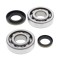 Set rulmenti ambielaj Suzuki RM 250 03- 04 24-1046