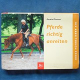 Cumpara ieftin PFERDE RICHTIG ANREITEN - CALARITI CAII CORECT - KERSTIN DIACONT - Carte sport echitatie cai