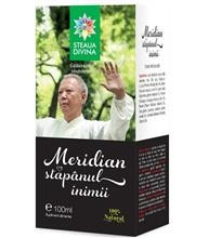 Tinctura Meridian Stapanul Inimii Santo Raphael 100ml Cod: sant00021 foto