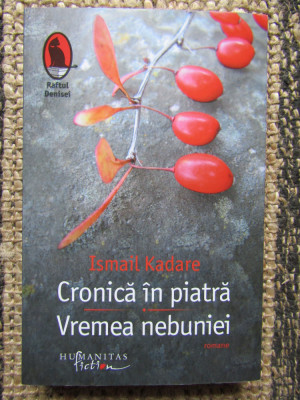 Cronica in piatra. Vremea nebuniei - Ismail Kadare foto